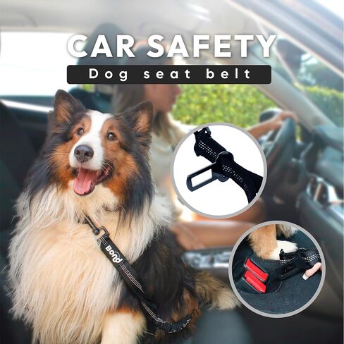 Bond Dog Running Leash Hands Free Dog Consh مع حقيبة ، وحزام تشغيل للحيوانات الأليفة للمشي ، والركض ، و Canicross ، يشمل الصراخ المزيج على السلامة حزمة مقعد سيارة الأليف ، حزام جرو للكلاب in Saudi Arabia
