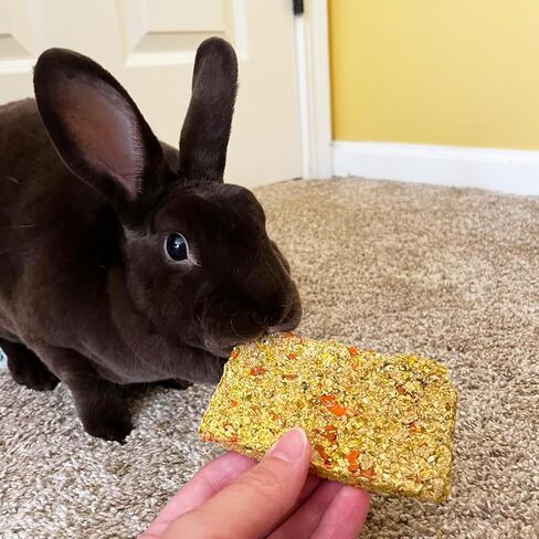 Hamiledyi Rabbit Chew Toys 15 Pieces Natural Timothy Hay Chips Chew Treats with Herbal Floral Scent for Rabbit Guinea Pig Hamster Chinchilla in Saudi Arabia