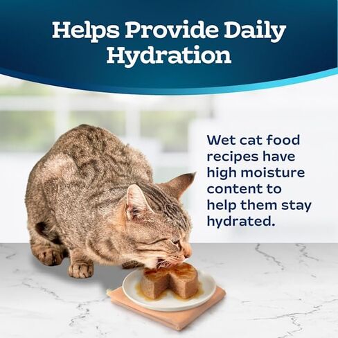 Blue Buffalo Congers Natural Pate Cat Food Food Pack ، سمك السلمون ، الدجاج ، أسماك المحيطات وتونة إدخال 3 أوقية (12 عدد - 4 من كل نكهة) in Kuwait