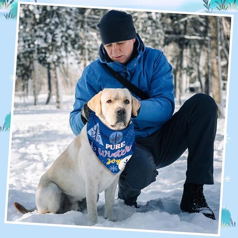 Abbylike 50 pcs هالوين الكلب Bandanas Bulk Fall Pet Scrips Triangle Bibs قابلة للتعديل جرو قابلة للغسل كيرشيف ملحقات أزياء الحيوانات الأليفة الموسمية لمستلزمات القطط الصغيرة المتوسطة الكبيرة الكلاب الكبيرة. in Kuwait