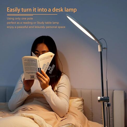 ضوء حلقة LED مع حامل 150 سم، إضاءة حلقة كبيرة احترافية بملء الشاشة 6000 كيلفن مع حامل هاتف، أضواء سيلفي لتصوير فيديو الاستوديو، تيك توك، يوتيوب، بث مباشر in Kuwait