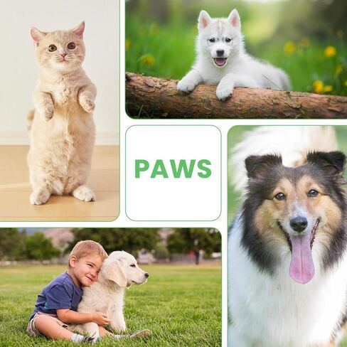 Dog Paw Care Kit | Dog Paw Cleaner for Dogs & Cats (6.8oz) | Dandelion No Rinse Clean Paws Foaming Cleanser | Pet Paw Cleaner Foot Washer w/Natural Lick Safe Dog Paw Pad Blam Stick(2.4 oz) in Saudi Arabia