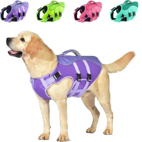 سترة نجاة للكلاب من Petglad، سترة نجاة عاكسة للضوء مع مقبض إنقاذ لركوب القوارب، سترة سباحة عالية الطفو قابلة للتعديل للكلاب الصغيرة الكبيرة - أخضر، L in Kuwait