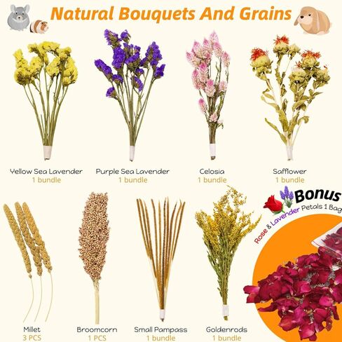 كوسيكو 10 أنواع من أغطية فراش الهامستر الطبيعية الصالحة للأكل - بخاخات الهامستر المجففة ومكافآت حبوب العلف، ملحقات قفص مخبأ الحيوانات الصغيرة، مستلزمات الحيوانات الأليفة للسوريين، الجربوع، خنزير غينيا in Kuwait