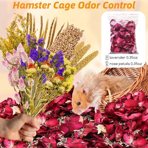 كوسيكو 10 أنواع من أغطية فراش الهامستر الطبيعية الصالحة للأكل - بخاخات الهامستر المجففة ومكافآت حبوب العلف، ملحقات قفص مخبأ الحيوانات الصغيرة، مستلزمات الحيوانات الأليفة للسوريين، الجربوع، خنزير غينيا in Kuwait