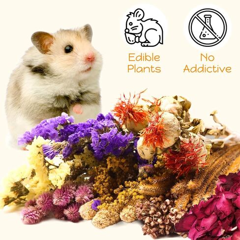 كوسيكو 10 أنواع من أغطية فراش الهامستر الطبيعية الصالحة للأكل - بخاخات الهامستر المجففة ومكافآت حبوب العلف، ملحقات قفص مخبأ الحيوانات الصغيرة، مستلزمات الحيوانات الأليفة للسوريين، الجربوع، خنزير غينيا in Kuwait
