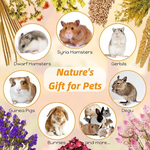كوسيكو 10 أنواع من أغطية فراش الهامستر الطبيعية الصالحة للأكل - بخاخات الهامستر المجففة ومكافآت حبوب العلف، ملحقات قفص مخبأ الحيوانات الصغيرة، مستلزمات الحيوانات الأليفة للسوريين، الجربوع، خنزير غينيا in Kuwait