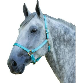 Dura-Tech Draft Horse Nylon Breakaway Turnout Halter Turnout Halter for Draft Horses | Enhanced Safety Breakaway Tab | Robust Nylon Construction in Saudi Arabia