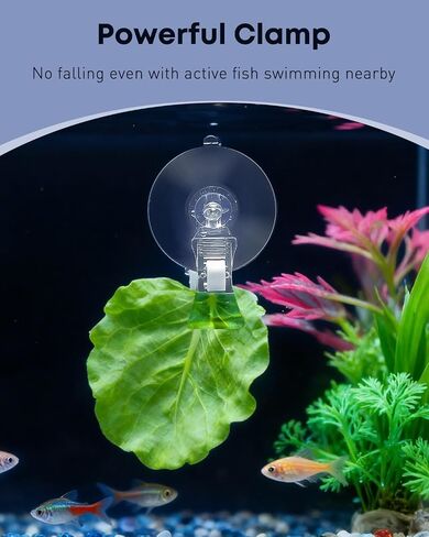 Pawfly 6 pcs أكواب شفط حوض السمك مع مقاطع ، مقاطع كوب شفط الحوض ، أداة تغذية الأسماك البلاستيكية الصافية ، مقاطع الأعشاب البحرية للنبات ، حامل تغذية الخضار ، تغذية الأسماك تحت الماء ، ملحقات خزان الأسماك in Kuwait
