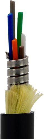 CableWholesale 500ft Armored Plenum 6-Strand OM3 كابل ألياف بصرية متعدد الأوضاع، ألياف بصرية كورنينج، داخلي/خارجي in Saudi Arabia