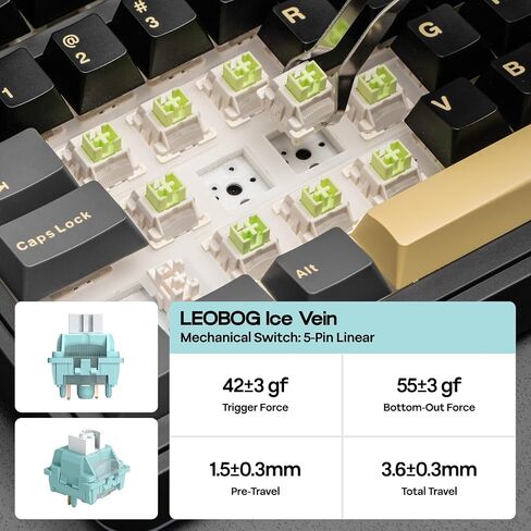 EPOMAKER X Aula EA75 MAX Wireless Gaming Keyboard with Screen & Knob, 5000mAh, Hot-Swap, Lubed Switches, RGB Backlit, Creamy Gasket, 75% Mechanical Keyboard (Black, Silent Cotton Candy Switch) in Saudi Arabia