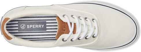 Sperry Men's STRIPER II CVO Core Sneaker, SW BLACK, 12 M in Saudi Arabia