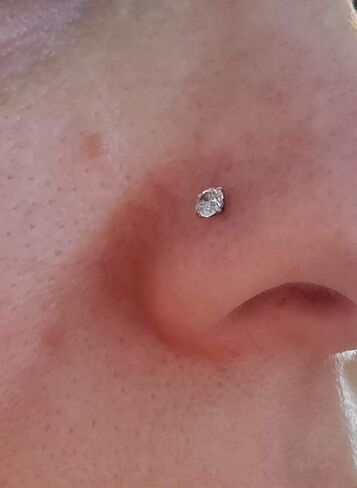 longita 6mm 8mm 18g حدوث حصان خاتم للنساء الحذاء الجوهري المزدوج حلقة الأنف هوب الجراحي in Kuwait