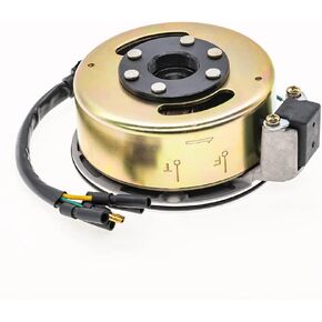 2 Coil Ignition Magneto Stator Flywheel Rotor Kit ATV Magneto Stator Plate for 50cc 70cc 90cc 110cc 125cc Taotao Kazuma SSR Baja ATV Quad Dirt Kick Bike 4 Wheeler