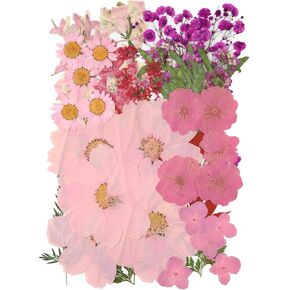 50 Pcs Dried Flowers for Resin,Real Pressed Flowers Leaves Mixed Multiple Natural Kit for Christmas DIY Gift,Art Crafts,Candle, Soap Making, Nails Decor in Kuwait