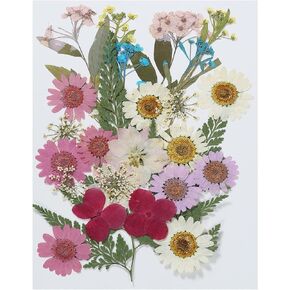 PATIKIL Dried Pressed Flowers, Natural Dried Flower Leave Real Pressed Flowers for DIY Art Crafts Resin Mold Scrapbooking, Multicolored
