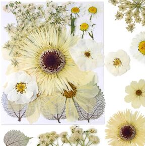 19Pcs Large Dried Flowers for Art Crafts, Real Natural Dried Pressed Flowers Dry Leaves Bulk Kit for DIY Art Crafts Resin Jewelry Making Scrapbook Supplies Card Nails Decors