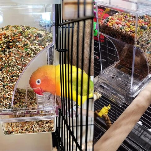 Automatic Bird Seed Feeder with Perch, Acrylic Transparent Parrot Foraging Feeders Cage Accessories for Small and Medium Parrots Parakeets Cockatiels Lovebirds in Saudi Arabia