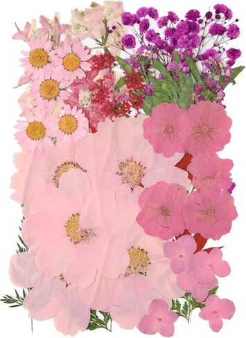 50 Pcs Dried Flowers for Resin,Real Pressed Flowers Leaves Mixed Multiple Natural Kit for Christmas DIY Gift,Art Crafts,Candle, Soap Making, Nails Decor in Kuwait