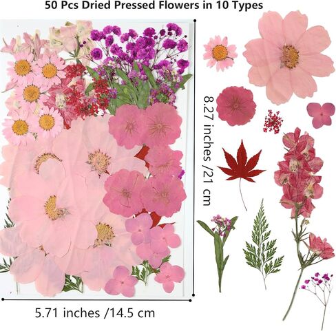50 Pcs Dried Flowers for Resin,Real Pressed Flowers Leaves Mixed Multiple Natural Kit for Christmas DIY Gift,Art Crafts,Candle, Soap Making, Nails Decor in Kuwait
