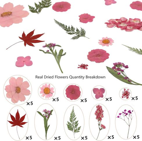 50 Pcs Dried Flowers for Resin,Real Pressed Flowers Leaves Mixed Multiple Natural Kit for Christmas DIY Gift,Art Crafts,Candle, Soap Making, Nails Decor in Kuwait
