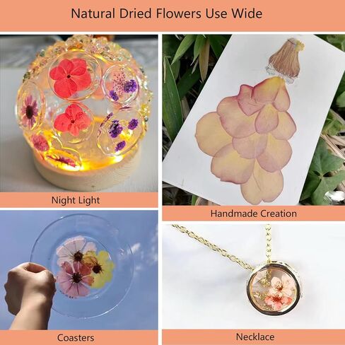 50 Pcs Dried Flowers for Resin,Real Pressed Flowers Leaves Mixed Multiple Natural Kit for Christmas DIY Gift,Art Crafts,Candle, Soap Making, Nails Decor in Kuwait