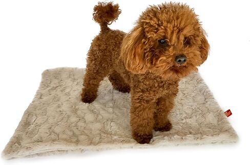 بطانية The Dog Squad Bella Minkie Binkie، مقاس صغير/20 بوصة × 30 بوصة، رمادي داكن in Kuwait