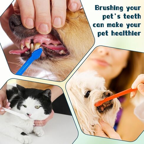 طقم تنظيف أسنان الكلاب 10 قطع من كاليون، فرشاة أسنان مزدوجة الرأس للحيوانات الأليفة، فرشاة أسنان متعددة الألوان للقطط، فرشاة أسنان محمولة للكلاب، طقم تنظيف أسنان ناعم للكلاب والقطط وتنظيف أسنان الحيوانات الأليفة والعناية بالأسنان in Kuwait