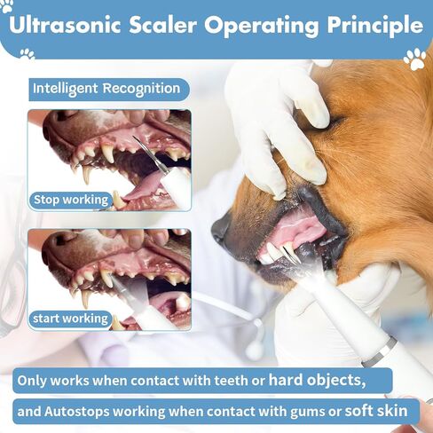 Plaque Remover for Teeth: Dog Teeth Cleaning Kit for Tartar Stains Removal Electric Pet Ultrasonic Tooth Cleaner with LED Light Finger Toothbrush Dental Care for Dog Cat 5 Modes (White) in Saudi Arabia