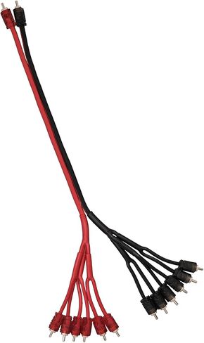 DS18 R2M12M المستوى 2 RCA 100% نحاس OFC Y موصل 2 ذكر إلى 12 ذكر 1.5 قدم فائق المرونة، عزل متين - أحمر in Kuwait