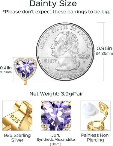 ChicSilver Clip On Earrings Women Hypoallergenic 925 Sterling Silver Birthstone Earrings for Women's Clip-on Earrings in Saudi Arabia