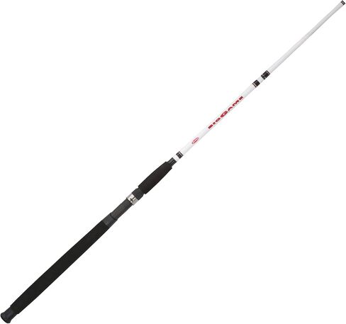Berkley Big Game Casting Fishing Rod in Saudi Arabia