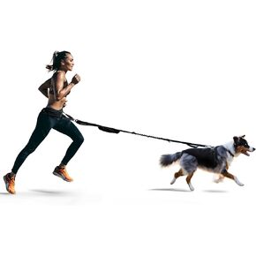 Dog Running Waist Belt - Running Dog Lead - Canicross Harness Carry Personal Items Running, Walks, Hikes - Waist Leads for Dogs with Belt Pouch, Converts into Canicrossing Line - Nifty Black