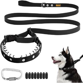Martingale Collar, 2 in 1 No Pull Dog Collar and Leash for Small Medium Large Dogs, Slip Leash for Outdoor Walking, Training, Heavy Duty and Easy to Use