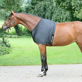 Back on Track Therapeutic Equine Shoulder Guard 81