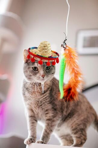 ALIBBON Mini Sombrero Hat for Pet, Cinco de Mayo Pet Straw Hat Multicolor Dog Hat Mexican Fiesta Cat Hat Dog Cat Birthday Hat Mexican Hat for Pets/Puppy/Cat Fiesta Party Decoration in Saudi Arabia