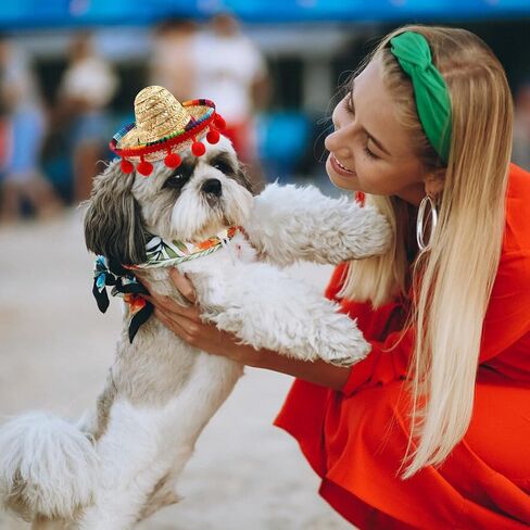ALIBBON Mini Sombrero Hat for Pet, Cinco de Mayo Pet Straw Hat Multicolor Dog Hat Mexican Fiesta Cat Hat Dog Cat Birthday Hat Mexican Hat for Pets/Puppy/Cat Fiesta Party Decoration in Saudi Arabia