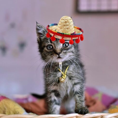 ALIBBON Mini Sombrero Hat for Pet, Cinco de Mayo Pet Straw Hat Multicolor Dog Hat Mexican Fiesta Cat Hat Dog Cat Birthday Hat Mexican Hat for Pets/Puppy/Cat Fiesta Party Decoration in Saudi Arabia