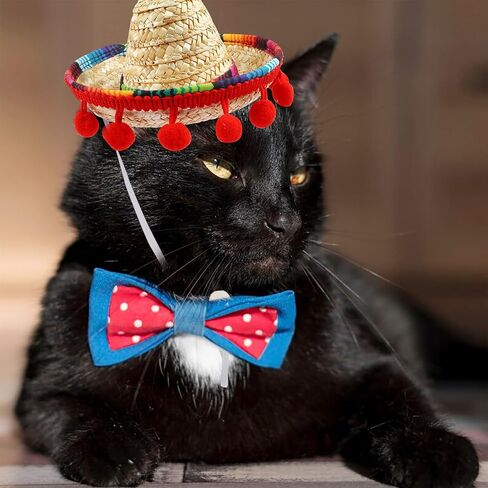 ALIBBON Mini Sombrero Hat for Pet, Cinco de Mayo Pet Straw Hat Multicolor Dog Hat Mexican Fiesta Cat Hat Dog Cat Birthday Hat Mexican Hat for Pets/Puppy/Cat Fiesta Party Decoration in Saudi Arabia