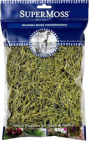 SuperMoss الطحلب الإسباني المحفوظ، شارتروز in Saudi Arabia