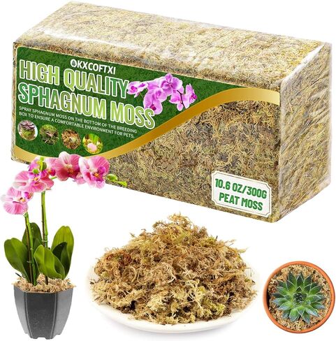 قطعتان من طحالب الطحالب، طحالب الخث، طحالب السفاجنوم للزواحف، طحالب الماء، الطحالب المزيفة، الطحالب الخضراء المجففة، طحالب حرفية لنباتات الزهور وتزيين الحديقة، 10.6 أونصة/300 جرام in Kuwait