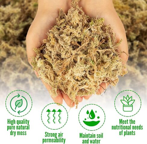 قطعتان من طحالب الطحالب، طحالب الخث، طحالب السفاجنوم للزواحف، طحالب الماء، الطحالب المزيفة، الطحالب الخضراء المجففة، طحالب حرفية لنباتات الزهور وتزيين الحديقة، 10.6 أونصة/300 جرام in Kuwait