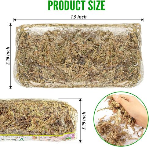 قطعتان من طحالب الطحالب، طحالب الخث، طحالب السفاجنوم للزواحف، طحالب الماء، الطحالب المزيفة، الطحالب الخضراء المجففة، طحالب حرفية لنباتات الزهور وتزيين الحديقة، 10.6 أونصة/300 جرام in Kuwait