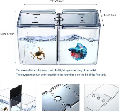 Small Betta Fish Tank, 3-in-1 Stackable Mini Fish Tank, Divided Compartments Beta Fish Tanks for 2 Betas Shrimp Sea Monkeys, 0.4 Gallon Acrylic Tiny Aquarium Tank with Hatchery Incubator in Saudi Arabia