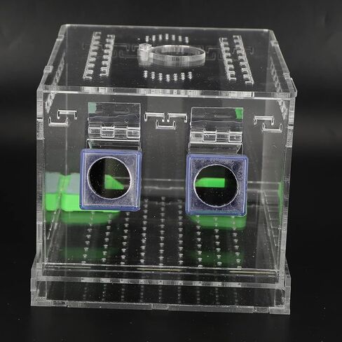 Feeding Box, Transparent Acrylic Reptile Feeding Cricket Keeper Pen with Tubes Cockroach Care Kit Reptile Viewing Box(L) in Saudi Arabia