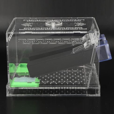 Feeding Box, Transparent Acrylic Reptile Feeding Cricket Keeper Pen with Tubes Cockroach Care Kit Reptile Viewing Box(L) in Saudi Arabia
