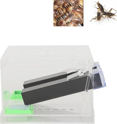 Feeding Box, Transparent Acrylic Reptile Feeding Cricket Keeper Pen with Tubes Cockroach Care Kit Reptile Viewing Box(L) in Saudi Arabia