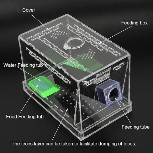 Feeding Box, Transparent Acrylic Reptile Feeding Cricket Keeper Pen with Tubes Cockroach Care Kit Reptile Viewing Box(L) in Saudi Arabia