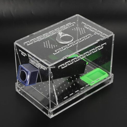 Feeding Box, Transparent Acrylic Reptile Feeding Cricket Keeper Pen with Tubes Cockroach Care Kit Reptile Viewing Box(L) in Saudi Arabia