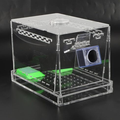 Feeding Box, Transparent Acrylic Reptile Feeding Cricket Keeper Pen with Tubes Cockroach Care Kit Reptile Viewing Box(L) in Saudi Arabia